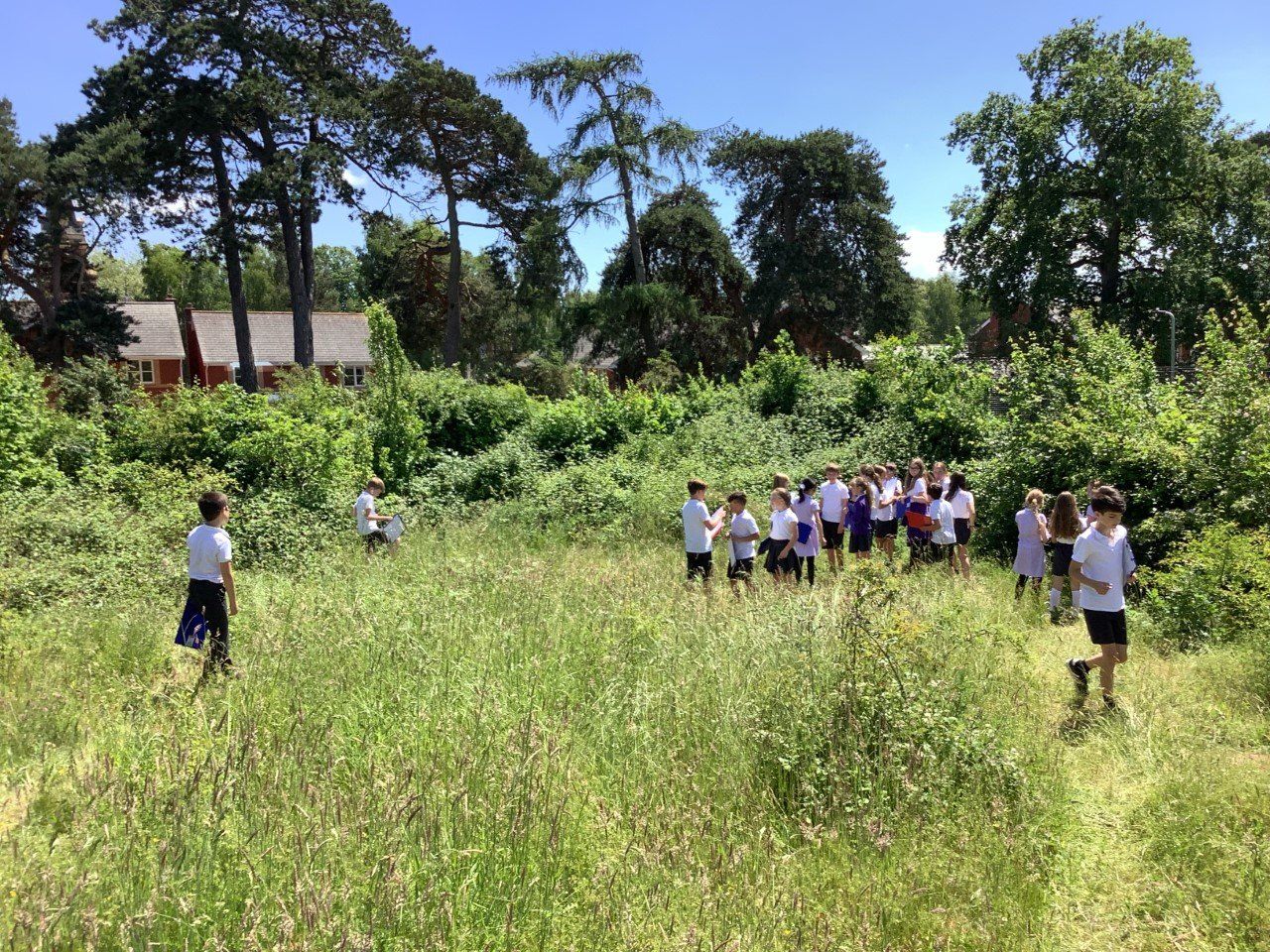 Clyst Heath Nursery & Community Primary School Exeter