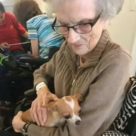a woman in a wheelchair is holding a small dog