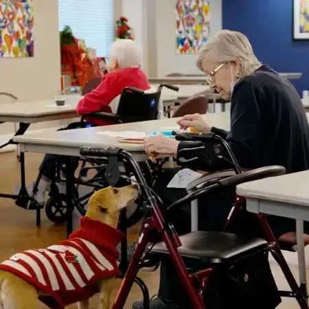 an elderly woman sits at a table with a dog wearing a red and white striped sweater