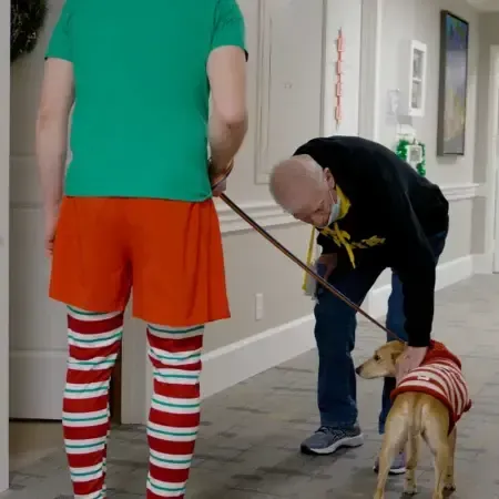 a man in a green shirt is walking a dog on a leash