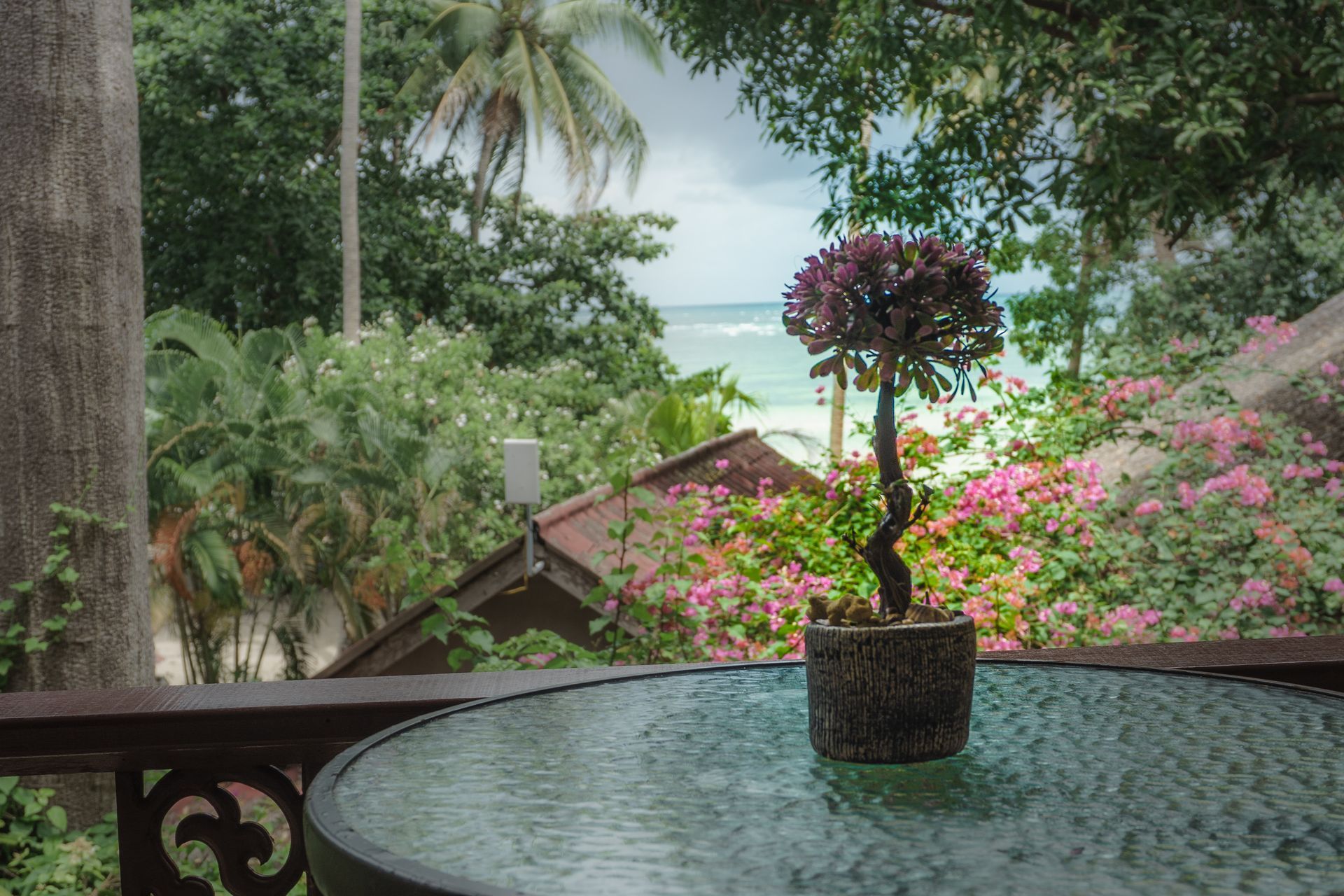 Table with potted plant on a balcony overlooking a beach, surrounded by green foliage and pink flowers.