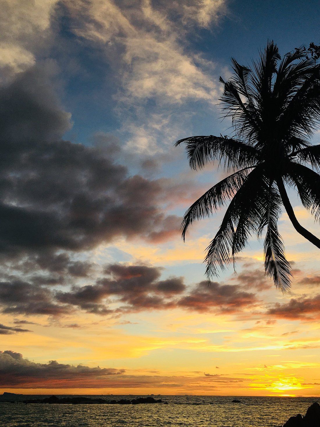 Sunset over ocean, palm tree silhouette against colorful sky.