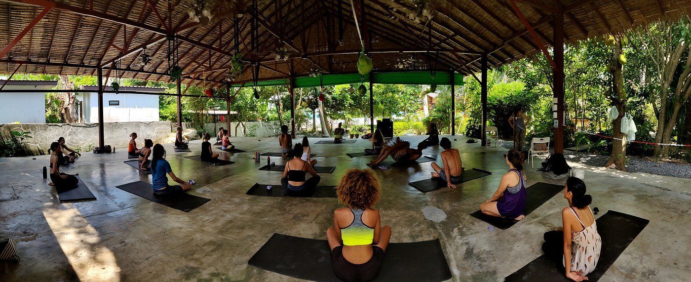 People doing yoga on mats under a thatched roof structure in a tropical setting.