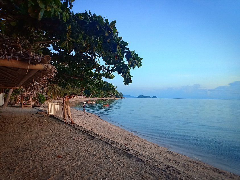 Beach scene: A person stands on sand near calm water, under tree branches. Blue sky.
