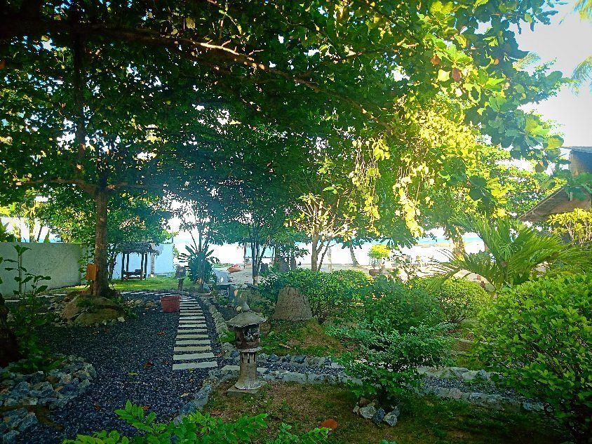 A serene garden with a stone path leading to a beach under lush green trees.