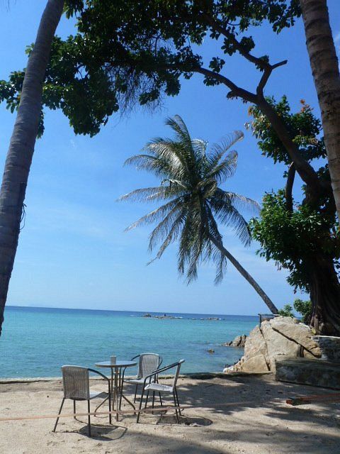 Tropical beach scene with palm trees, blue water, and a table with chairs.