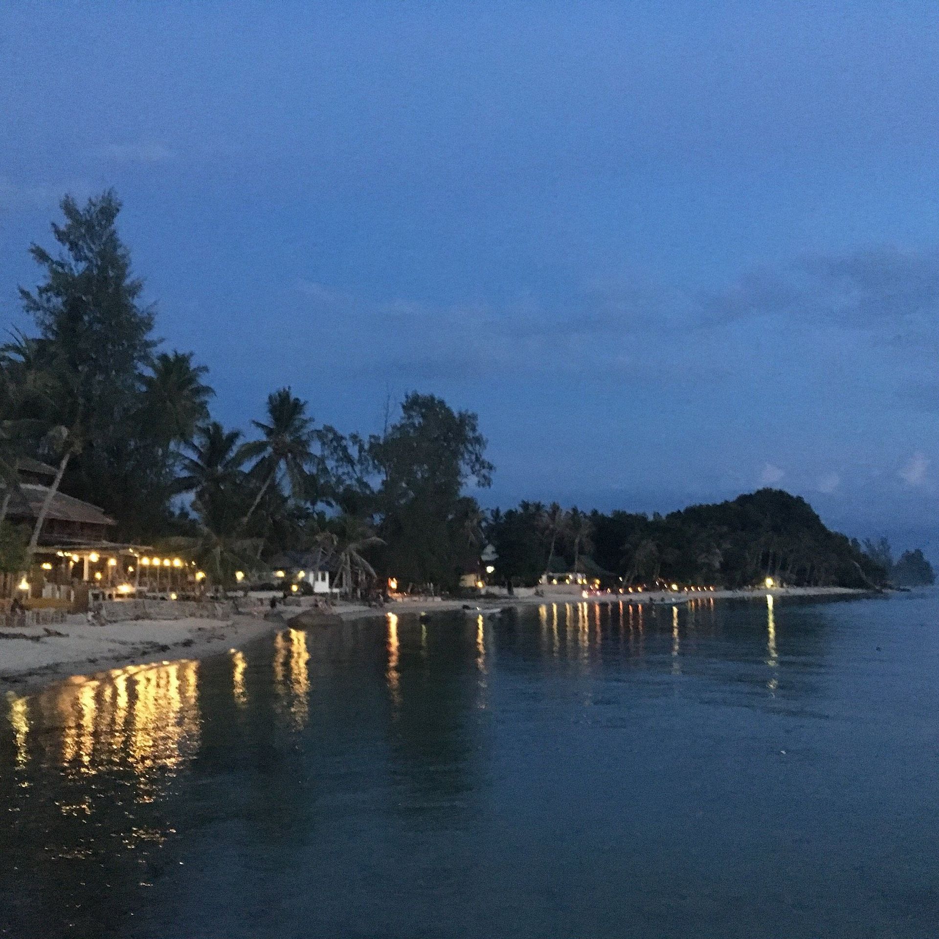 Beach at dusk with lights reflecting on the water; palm trees and buildings along the shore.