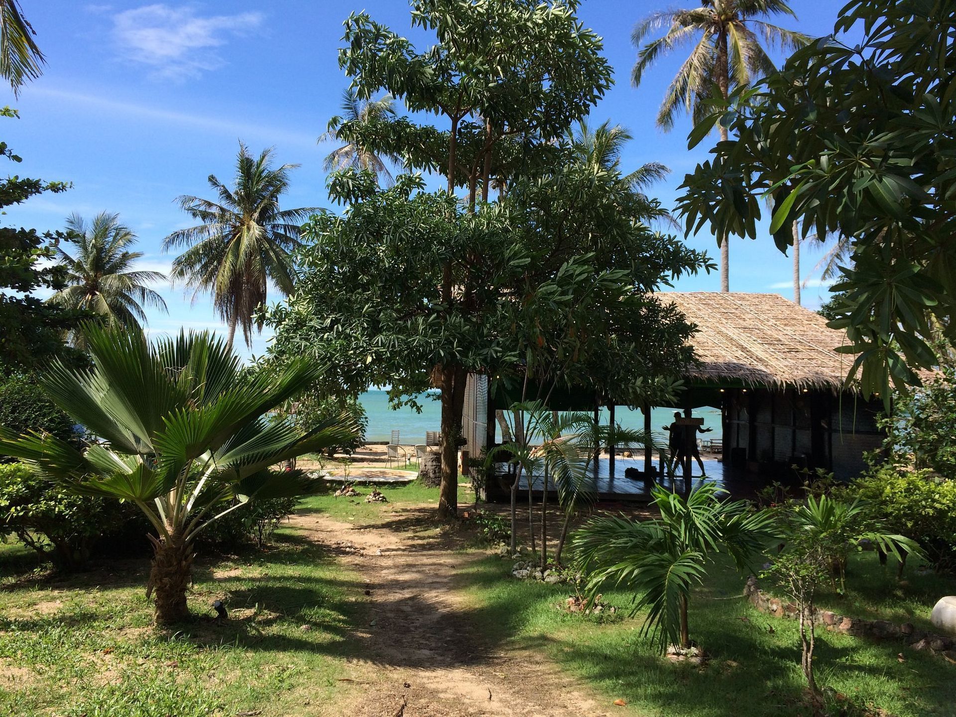Path to a beachfront building with a thatched roof, surrounded by tropical plants and palm trees, under a blue sky.