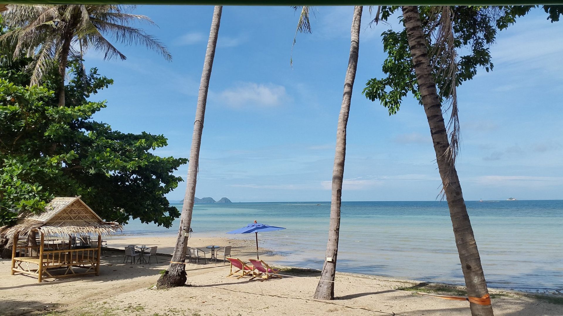 Beach scene with palm trees, a small hut, and blue ocean under a bright sky.