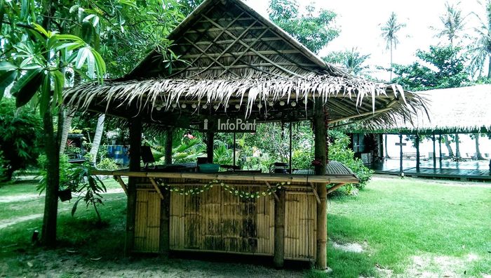 Thatched-roof bamboo bar in a tropical setting with trees and green grass.