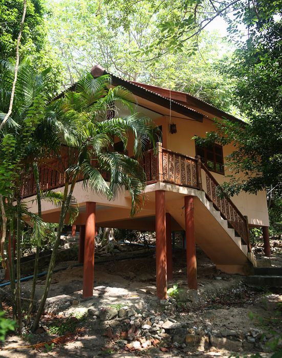 Elevated beige house in lush green forest; stairs lead to a balcony.