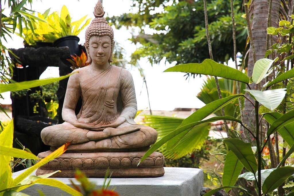 Buddha statue in a garden, eyes closed in meditation, surrounded by lush green plants and trees.