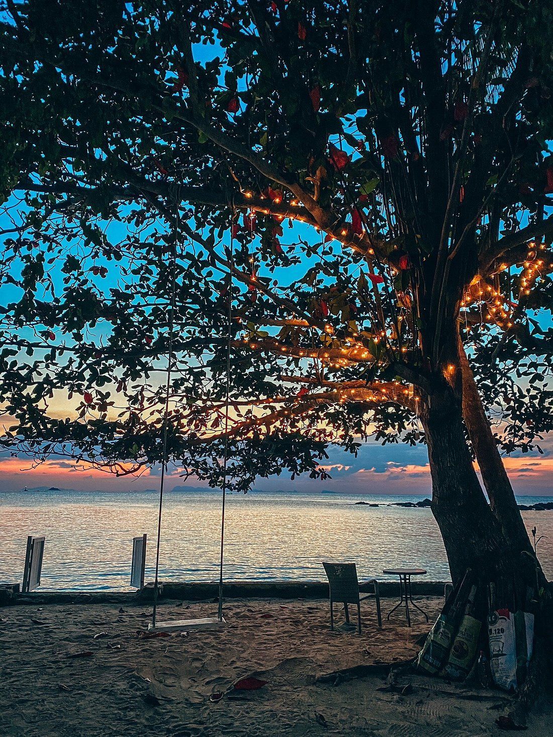 Tree decorated with lights overlooking a calm sea at sunset.
