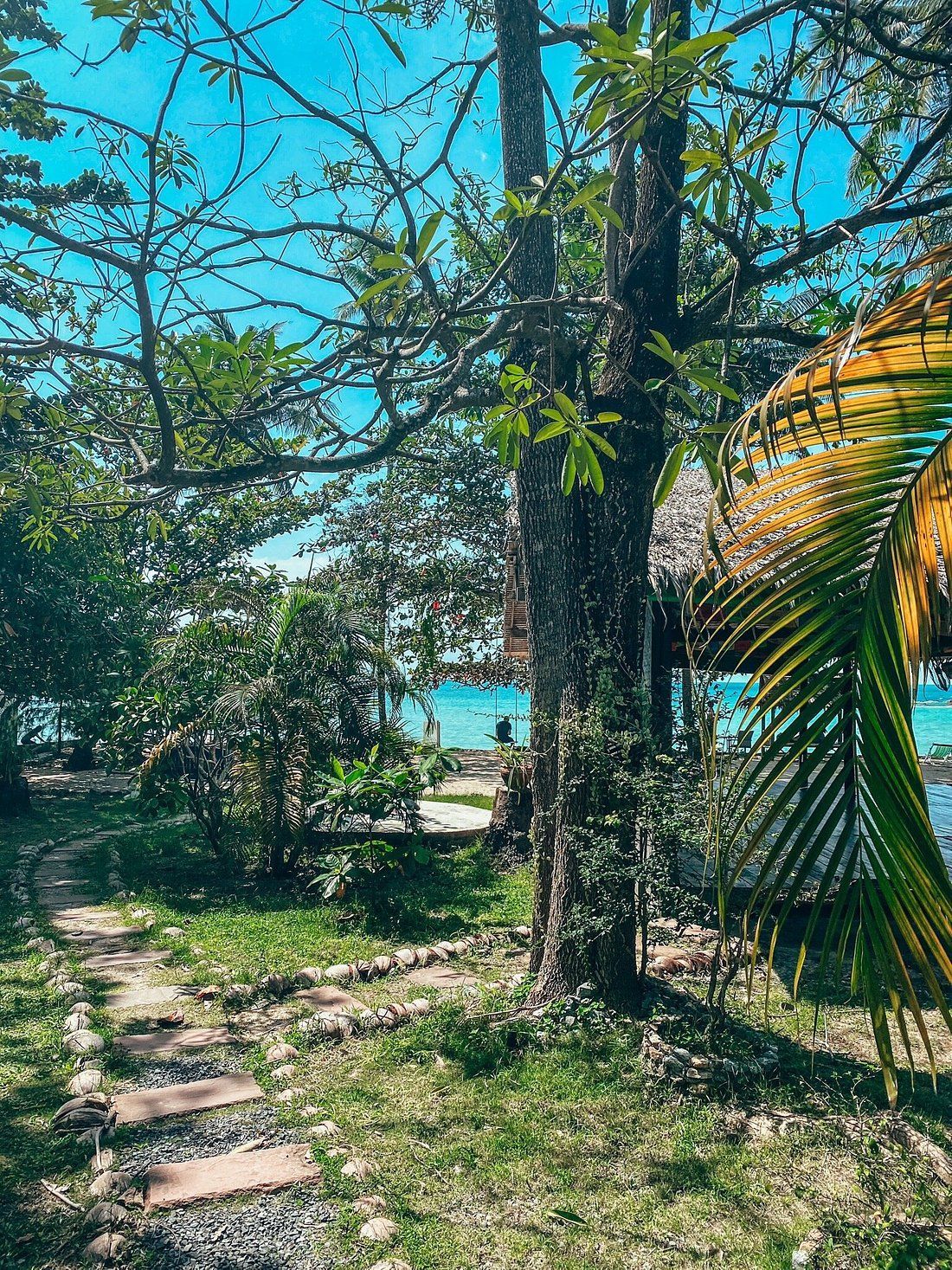 Path through a tropical scene. Trees surround a view of turquoise water and sky.