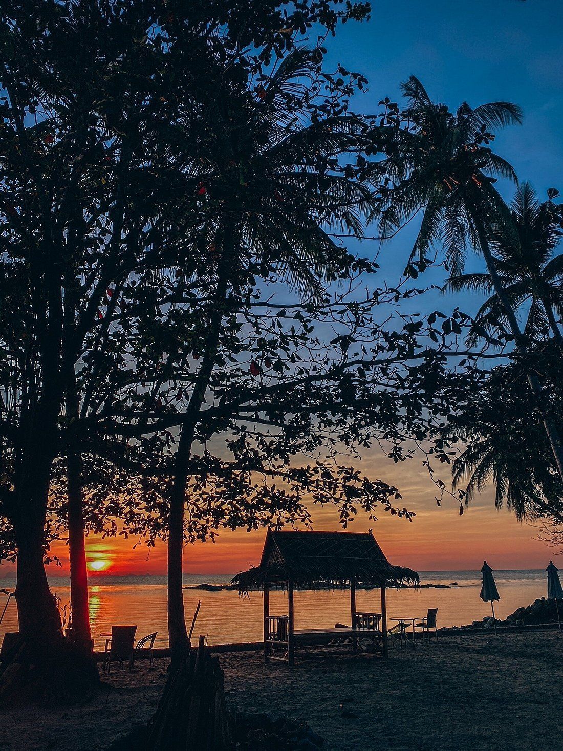 Sunset over ocean, framed by silhouetted trees and a gazebo. Orange and blue sky.