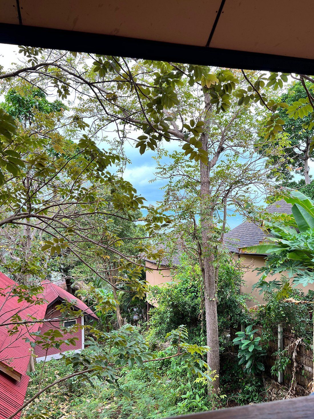 View of trees and buildings from a covered porch. Red and tan roofs, green foliage.