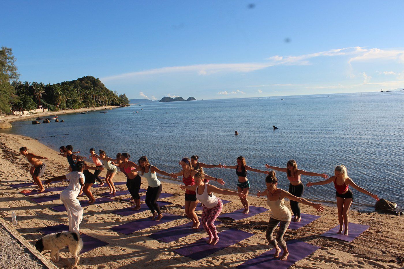 People doing yoga on beach with ocean in background. Clear sky and sunlight.