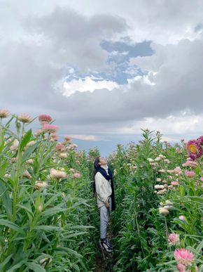 A woman is standing in a field of flowers looking up at the sky.