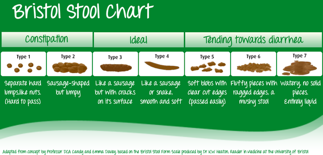 Opt Poop Different Ways To Poop Chart