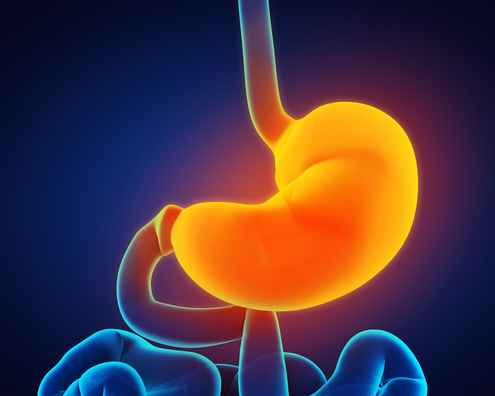 Gastroparesis is a gastrointestinal disorder that affects the normal movement of the muscles 