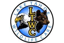 Lake Tahoe Wildlife Care — South Lake Tahoe, CA — South Tahoe Chamber of Commerce