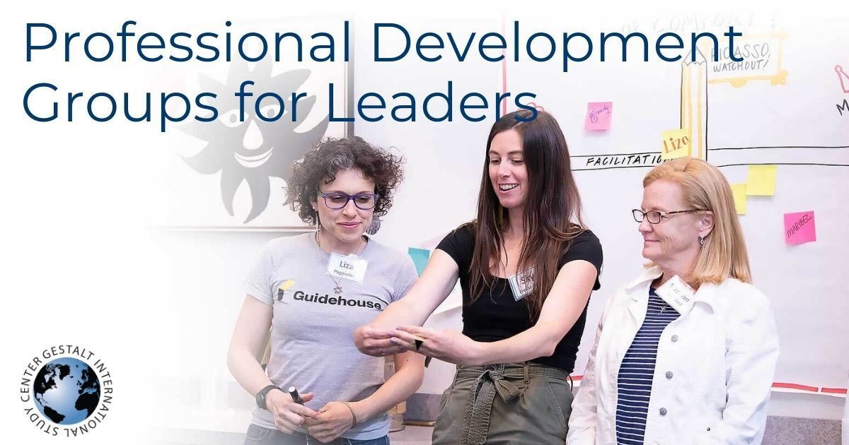 Professional Development Groups for Leaders