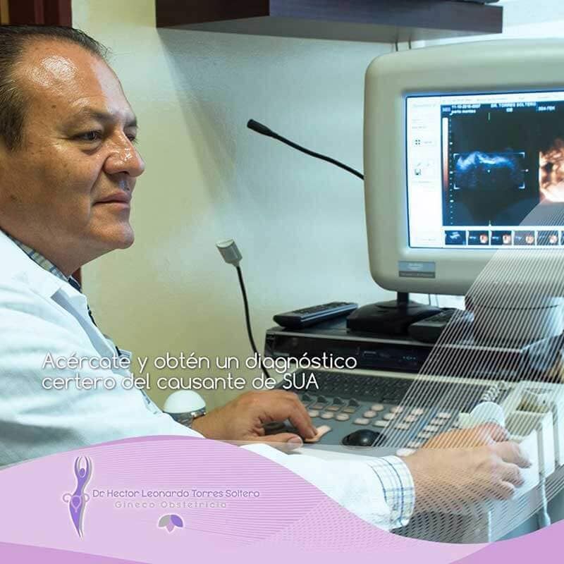 Dr. Héctor Leonardo Torres Soltero