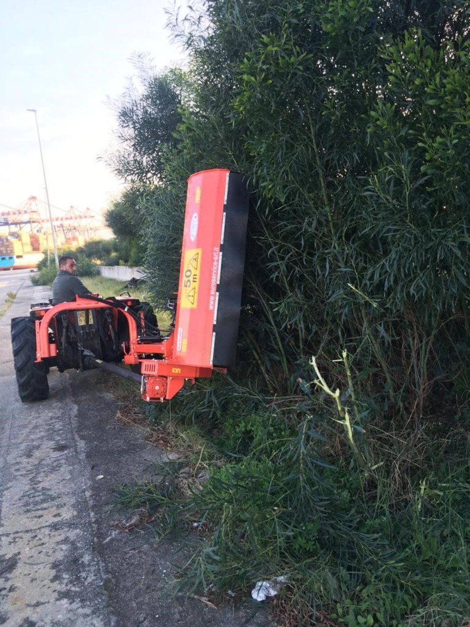 Potatura cespugli pubblici