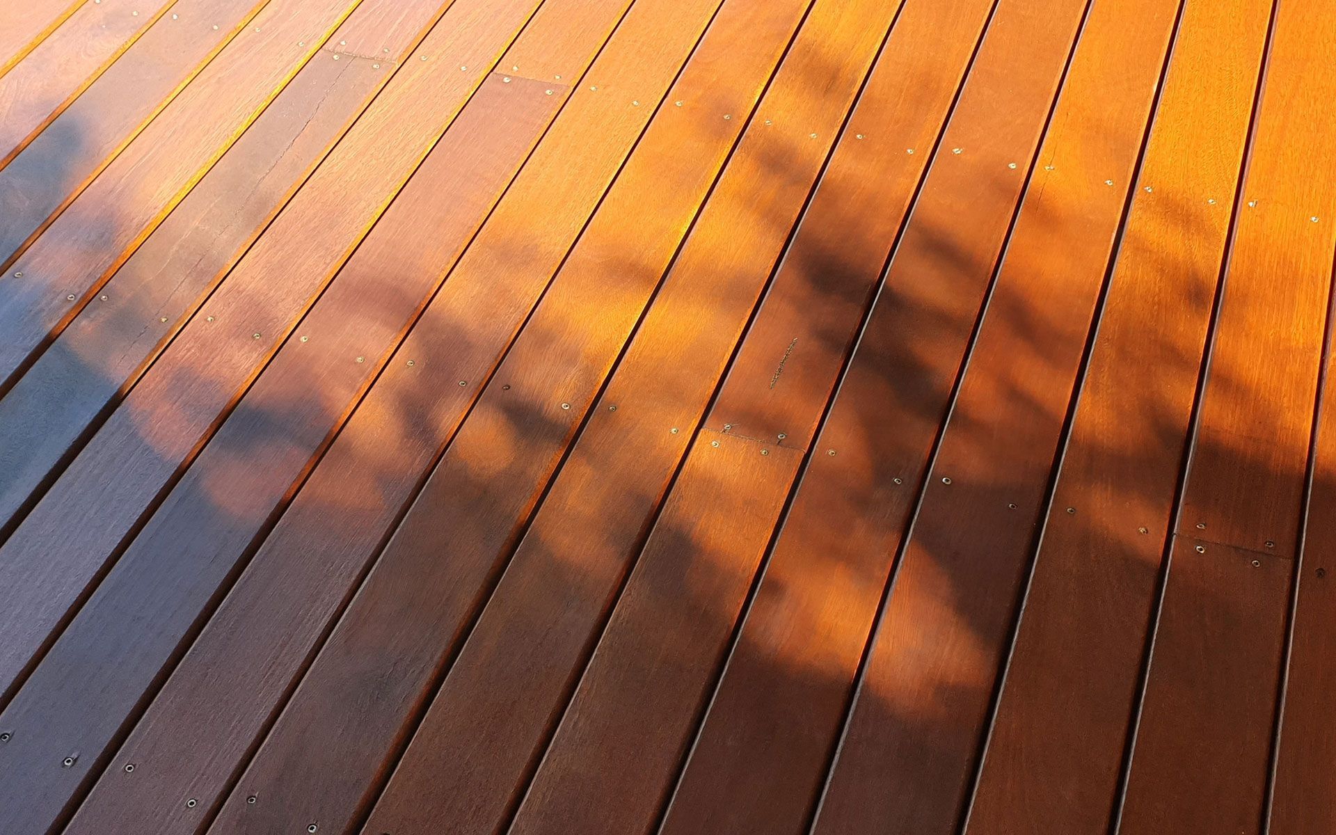Wooden deck with golden sunlight and shadowy tree branches.