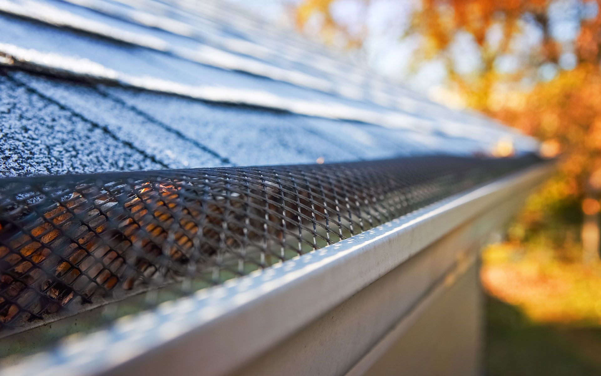 Close-up of a gutter with a mesh screen, protecting a roof from debris.