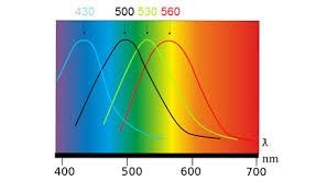 spectrophotometry