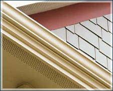 A close up of a gutter with a roof in the background