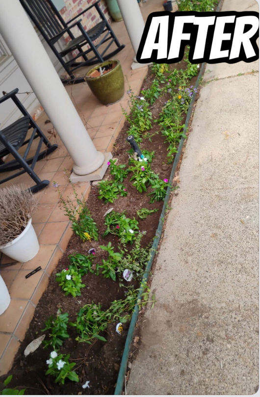 Flower bed with freshly planted green and white flowers, next to a porch.