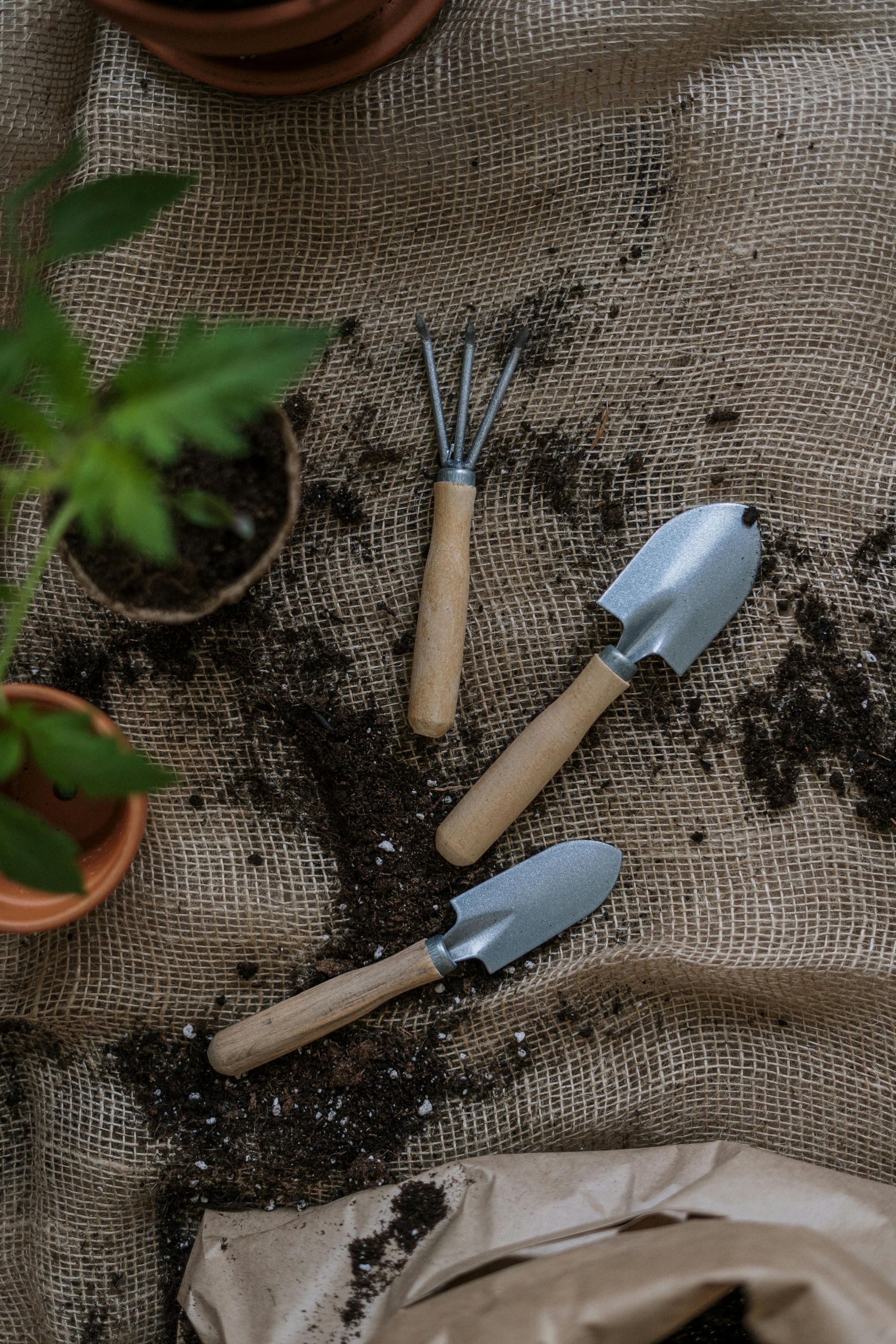 Gardening tools (hand rake, trowels) on a burlap surface with potting soil and small potted plants.