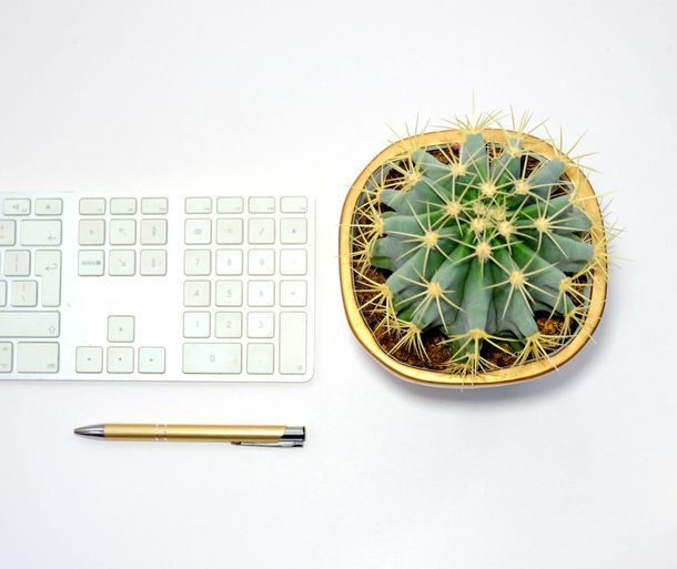 Cacti Media SEO experts