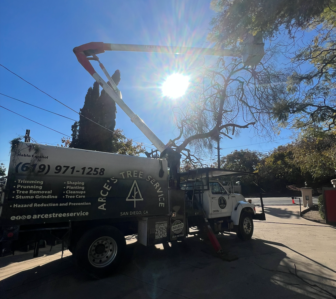An image of Tree Trimming and Cutting Services in Lakeside CA