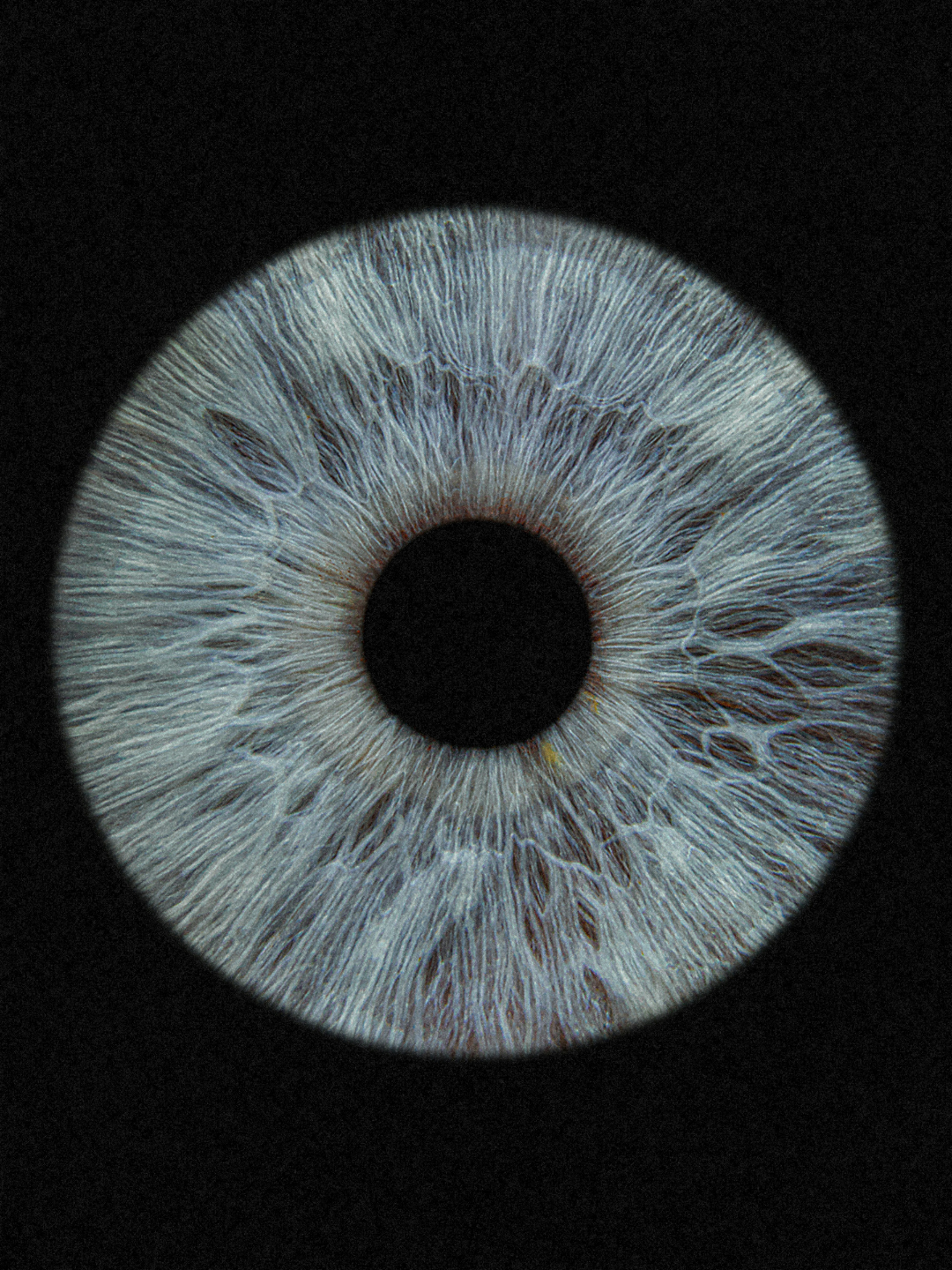 Besixth has a third eye when it come to the world of event production.