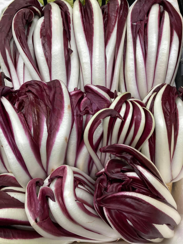 radicchio