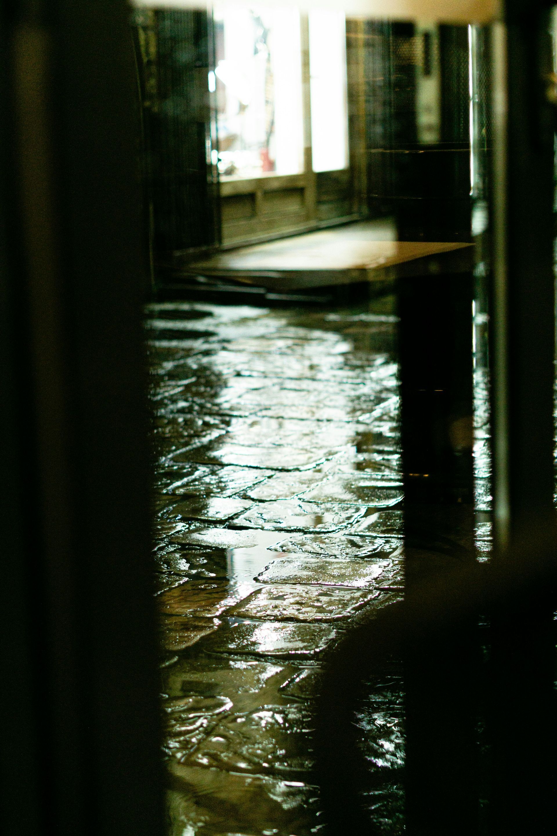 Rain-slicked stone floor in a dim hallway, with light streaming through a doorway.