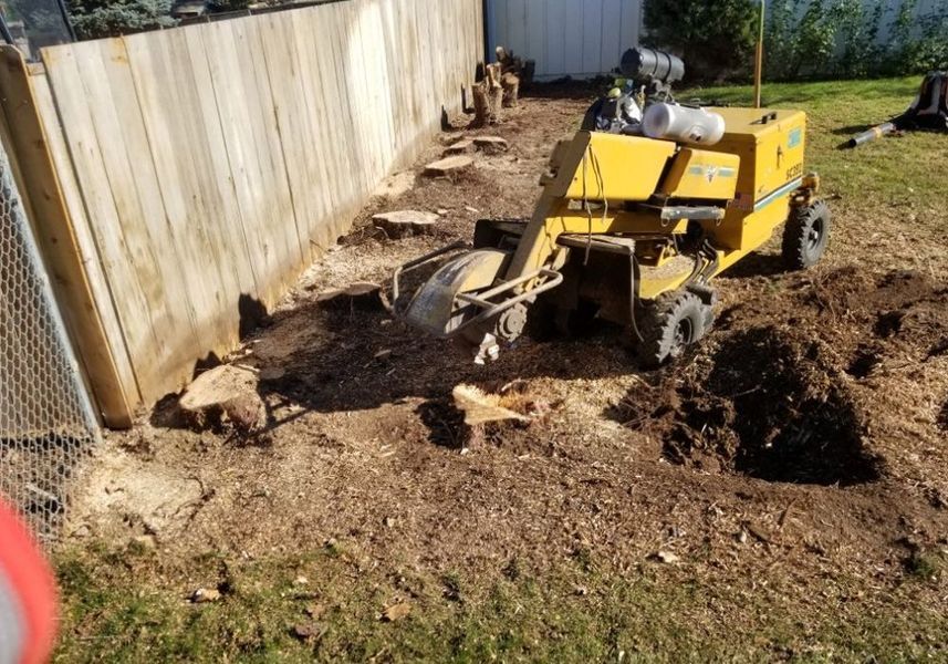 Yellow mini excavator digging soil beside a wooden fence in a yard