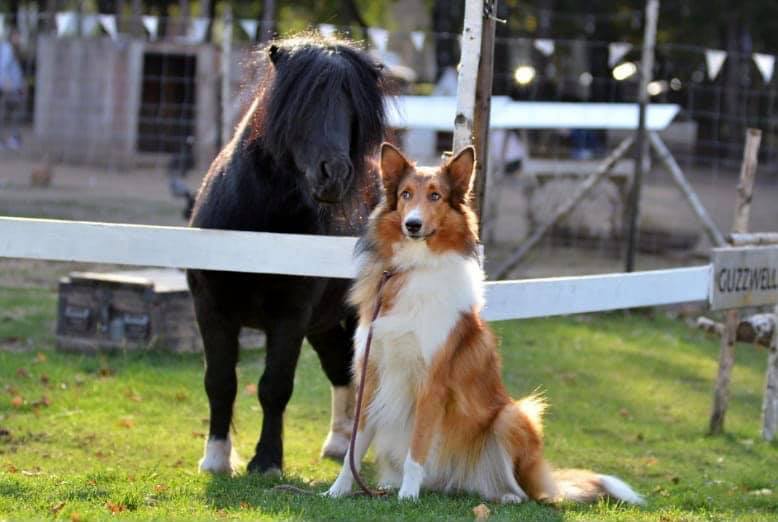 Ādaži apskates objekti