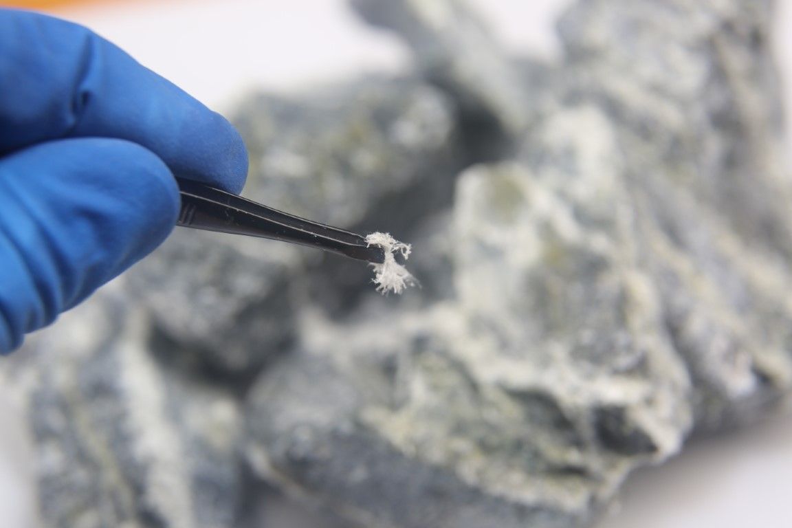 Blue-gloved hand holding tweezers with a small white fragment near a rock surface