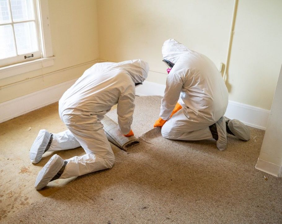 Two workers in white protective suits kneeling and cleaning a carpeted floor in a bright room
