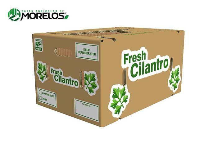 CILANTRO 30 CT