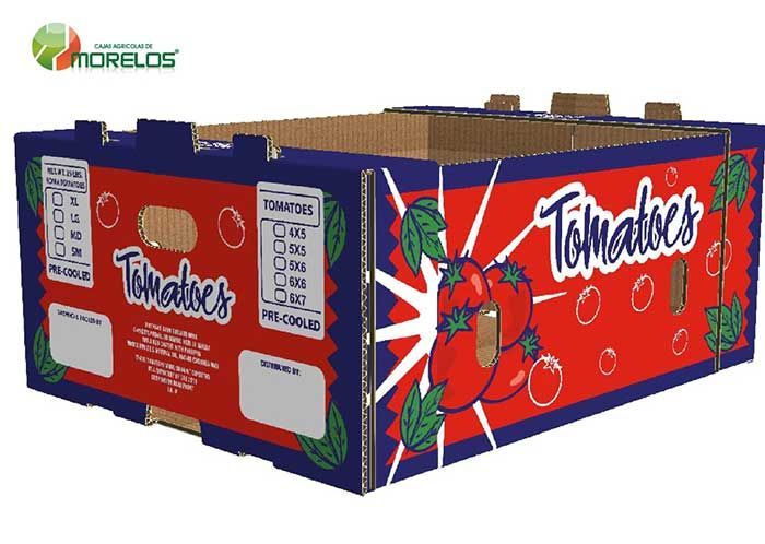 VEGETALES-1-1,9-BUSHEL