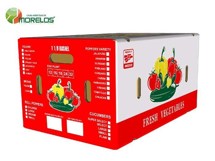 VEGETALES-1-1,9-BUSHEL