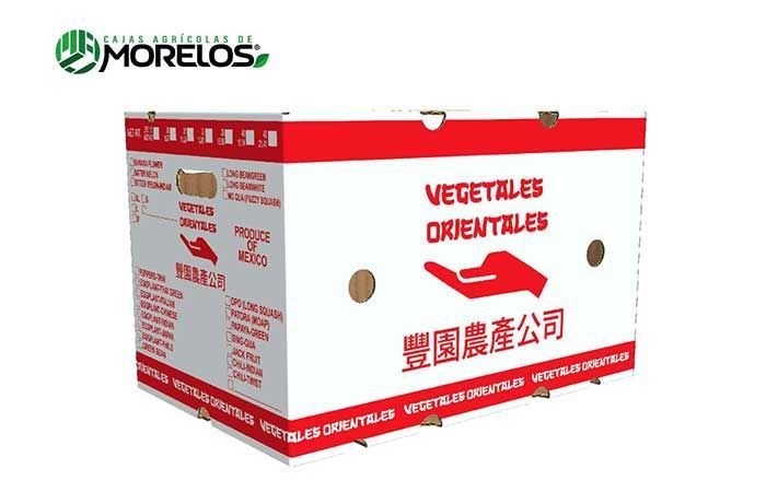 VEGETALES ORIENTALES