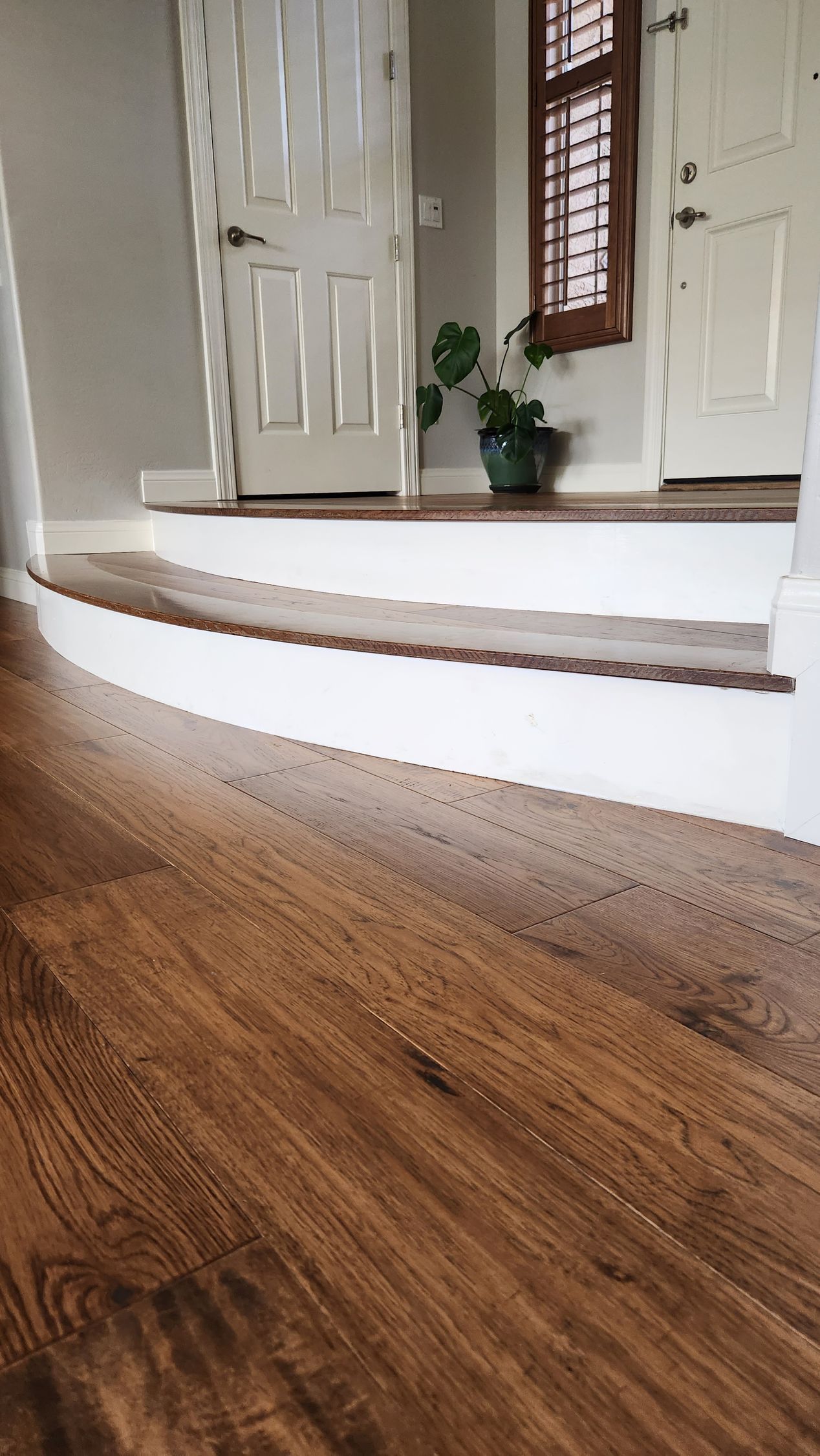 Curved white steps leading to a front entryway with a potted plant and wooden floor.