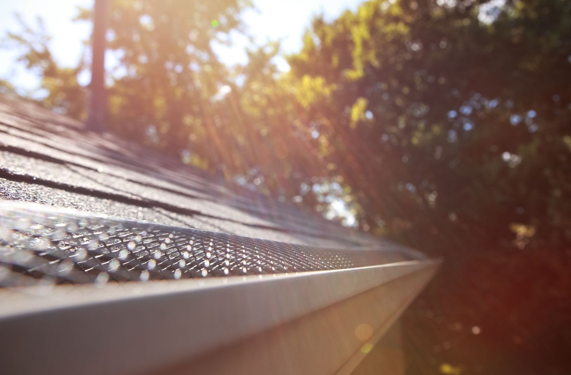 bird proofing