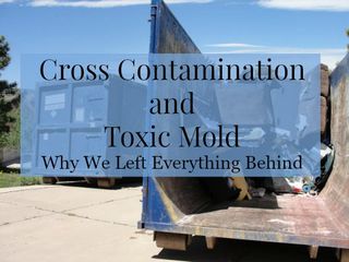 Truth About Mold - Cross Contamination